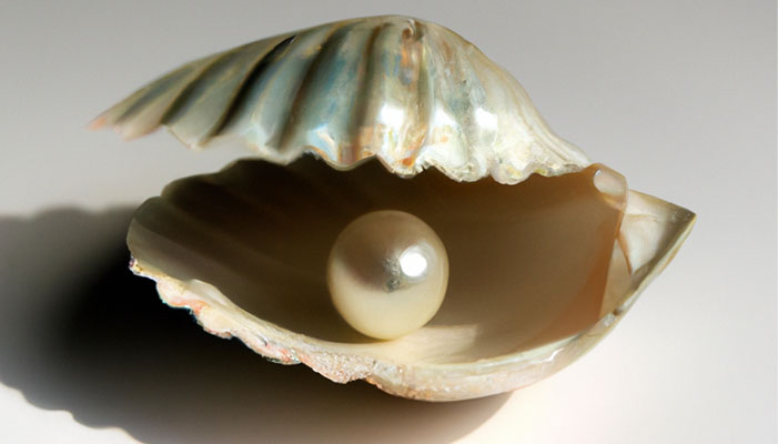 perlas natural en su concha