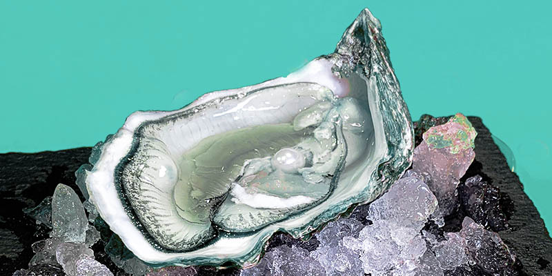 perla en formación dentro de una ostra